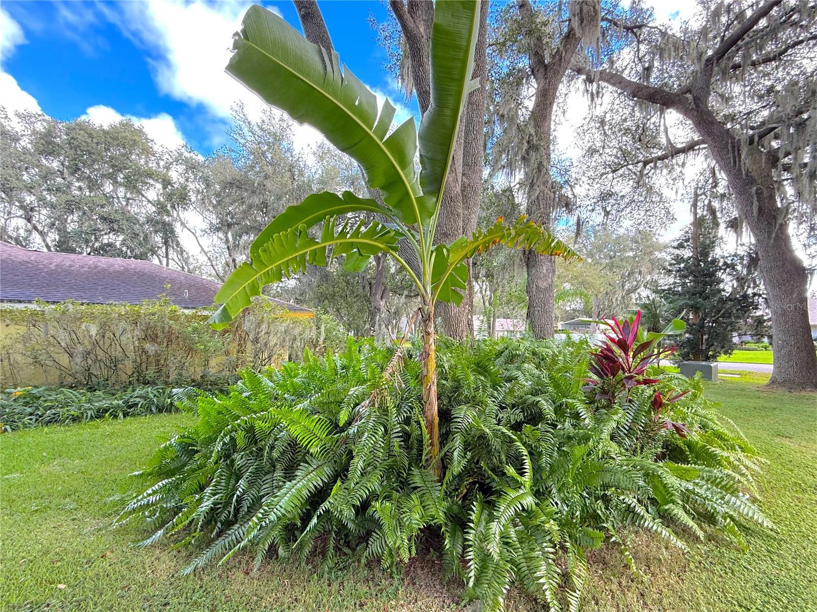 5901 DEER FLAG DR, LAKELAND, FL, 33811