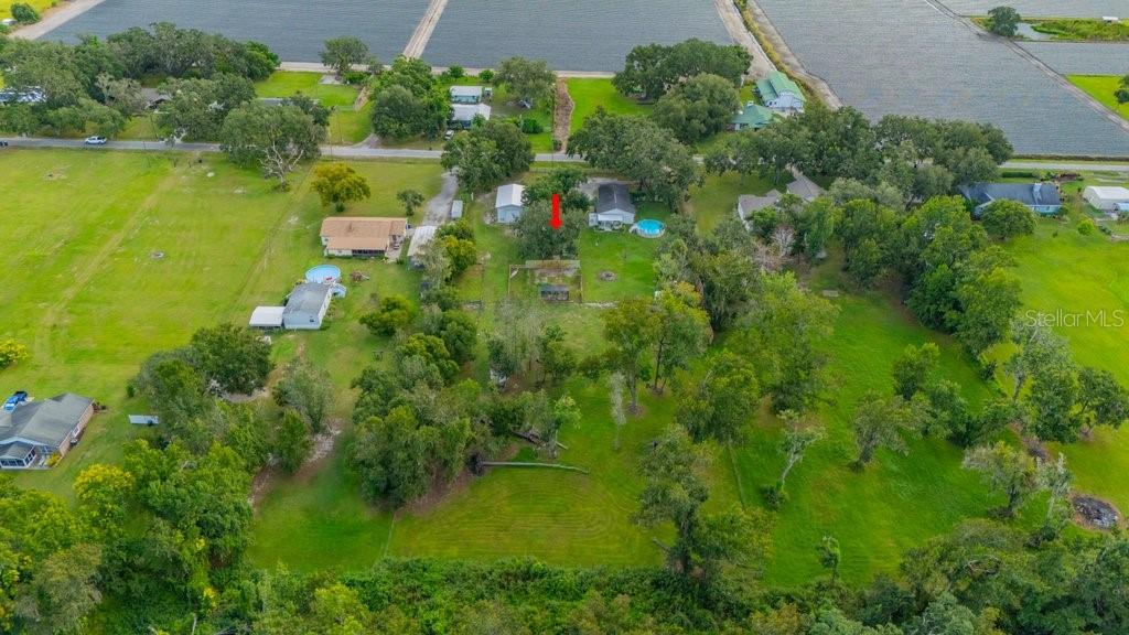 3011 LEWIS RD, DOVER, FL, 33527