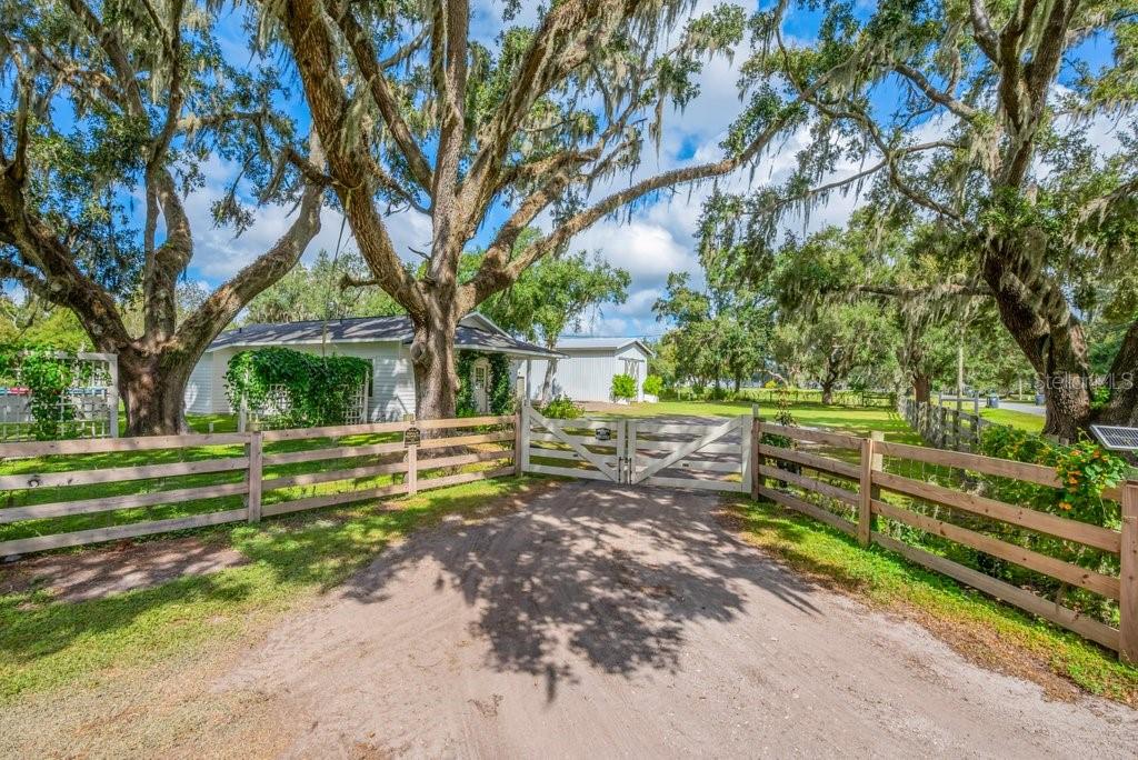 3011 LEWIS RD, DOVER, FL, 33527