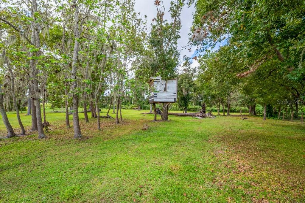 3011 LEWIS RD, DOVER, FL, 33527