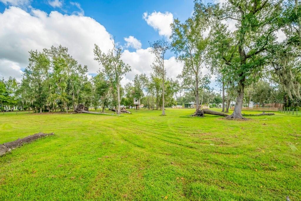 3011 LEWIS RD, DOVER, FL, 33527