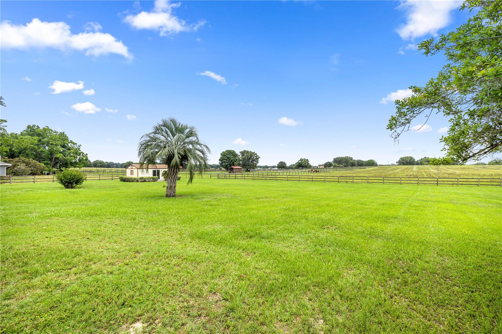 12131 NE 10TH TER, OCALA, FL, 34479