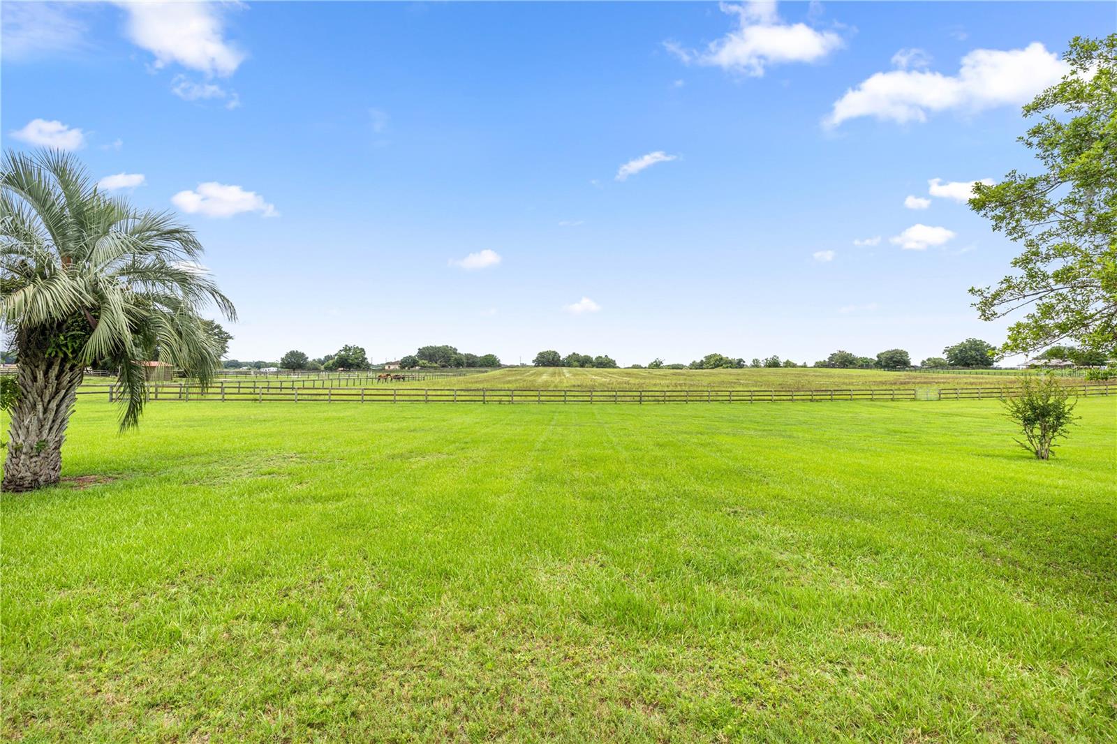 12131 NE 10TH TER, OCALA, FL, 34479