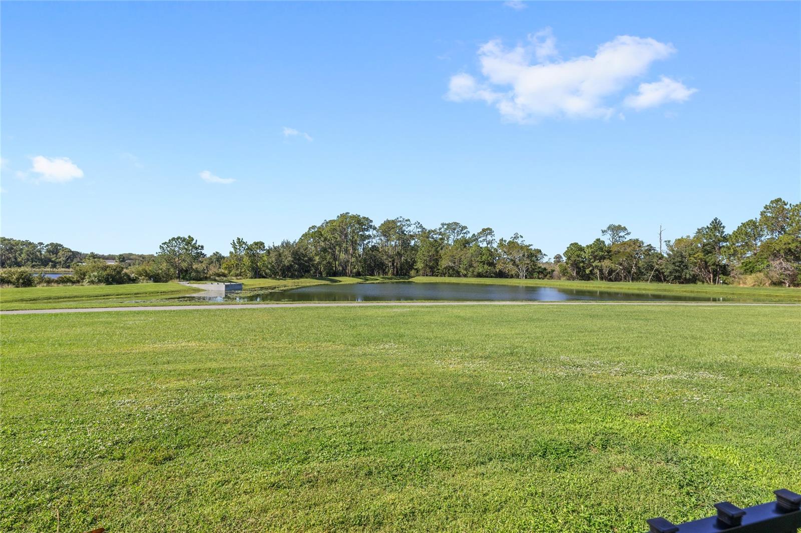 8764 LOOKOUT POINTE DR, WINDERMERE, FL, 34786