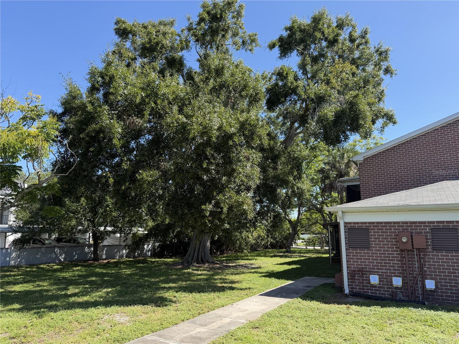 8520 9TH WAY N #B, ST PETERSBURG, FL, 33702