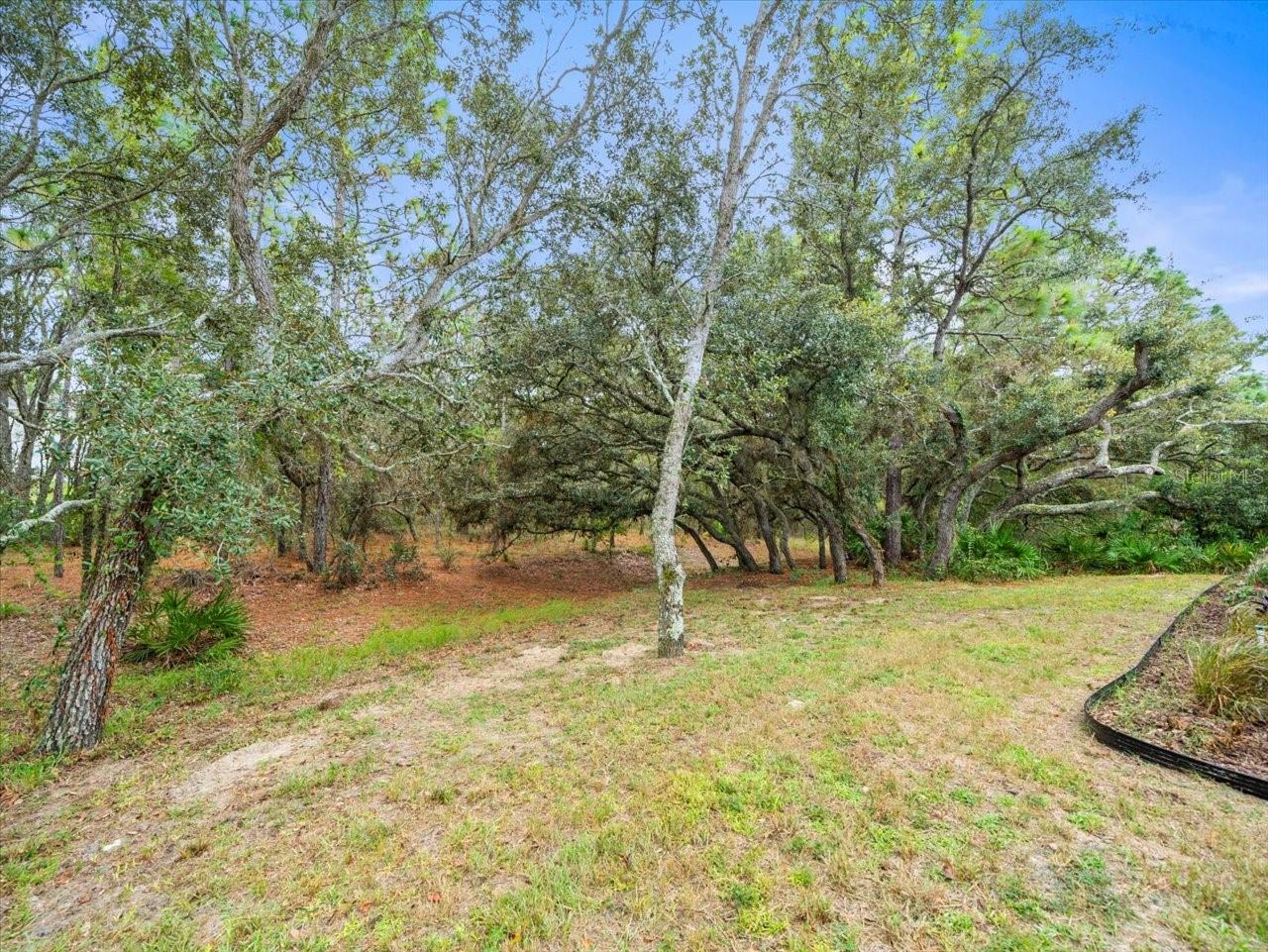 13 WITCH HAZEL CT, HOMOSASSA, FL, 34446