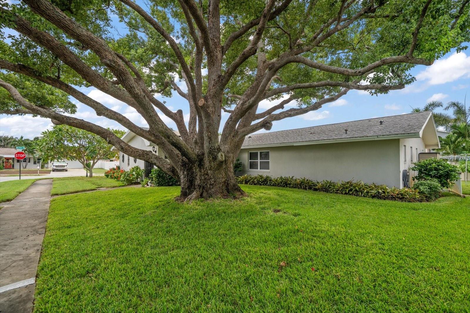 11040 141ST WAY, LARGO, FL, 33774