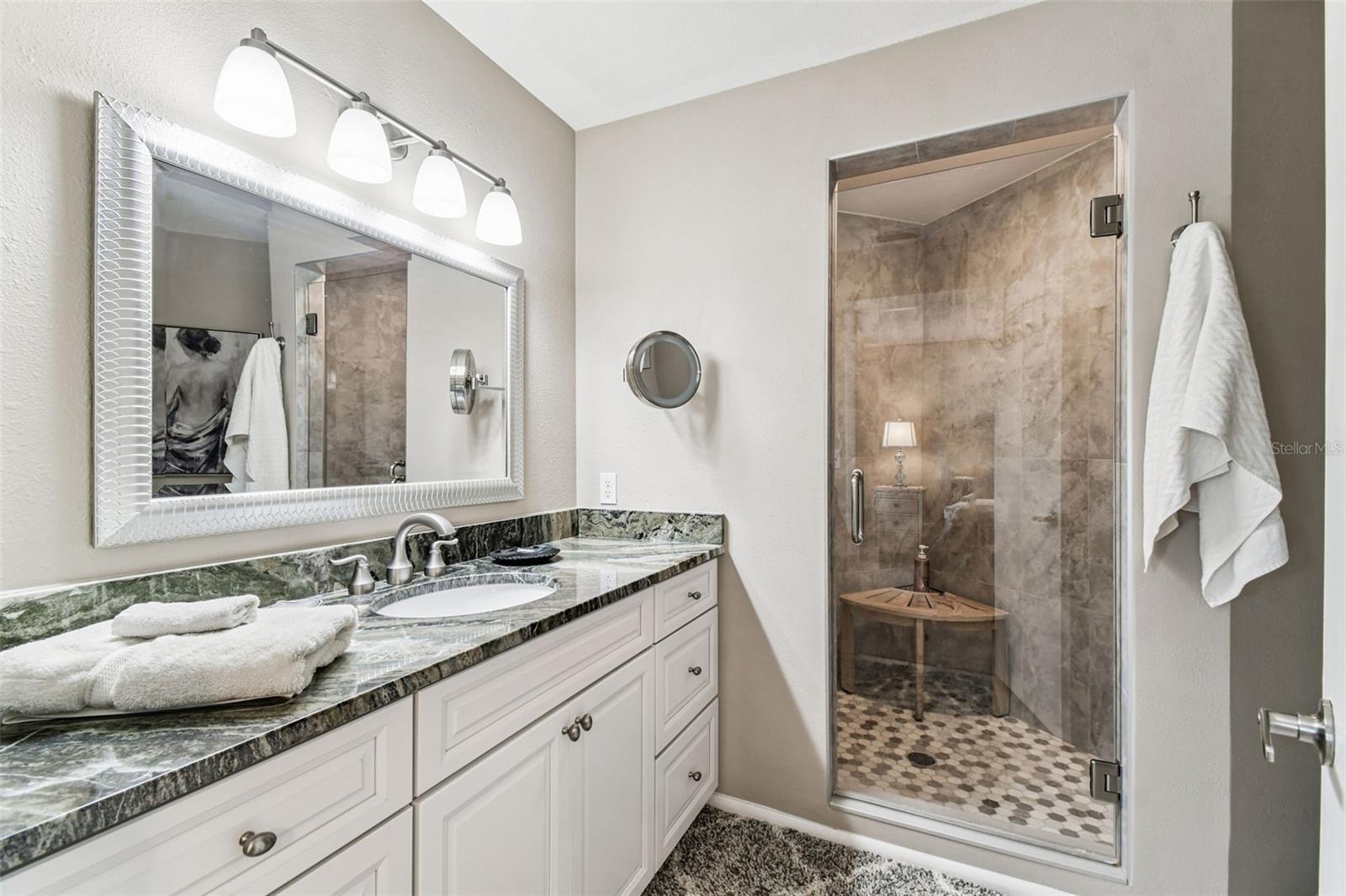 3582 INDIGO POND DR #3582, PALM HARBOR, FL, 34685