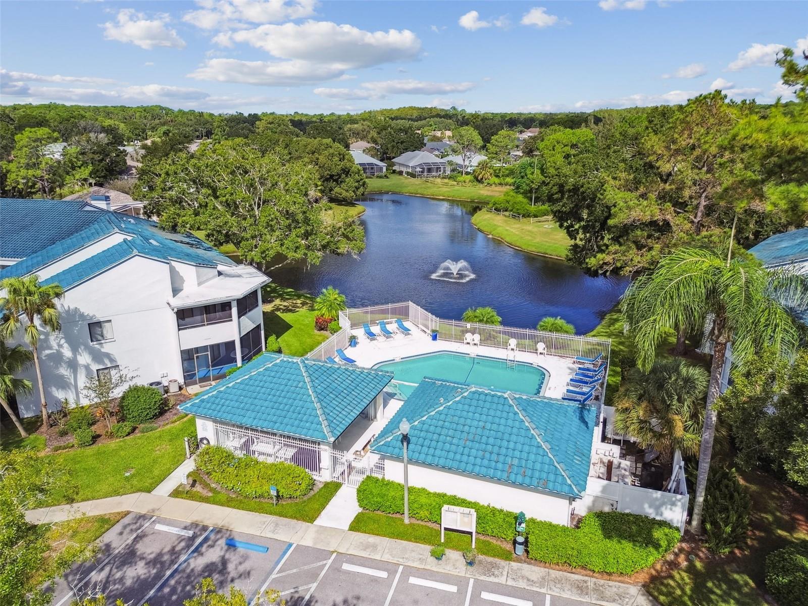 3582 INDIGO POND DR #3582, PALM HARBOR, FL, 34685