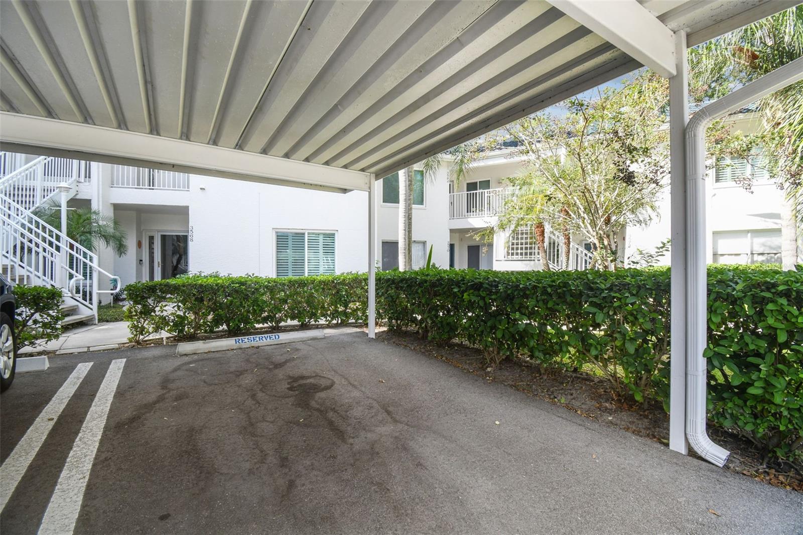 3582 INDIGO POND DR #3582, PALM HARBOR, FL, 34685