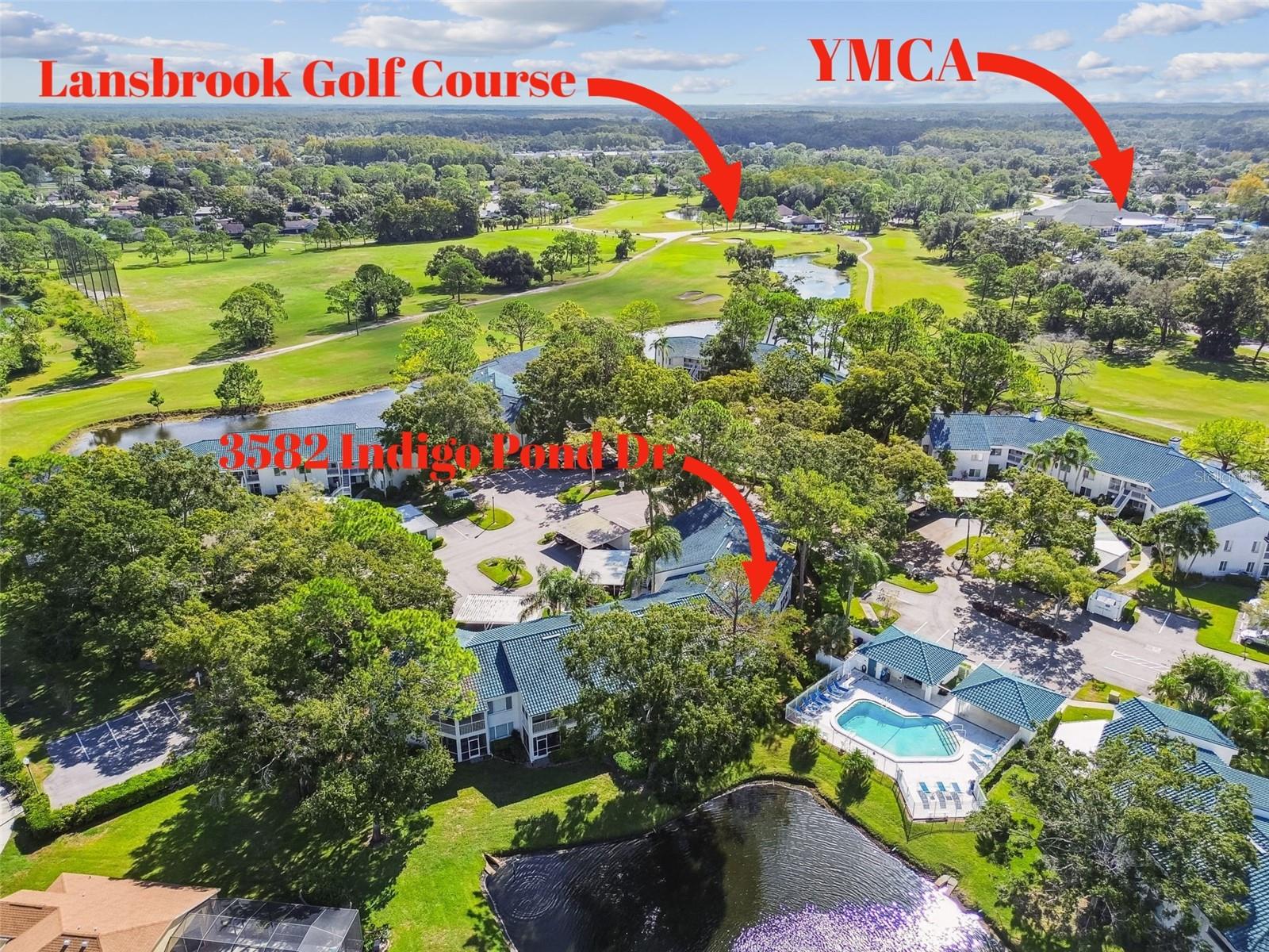 3582 INDIGO POND DR #3582, PALM HARBOR, FL, 34685