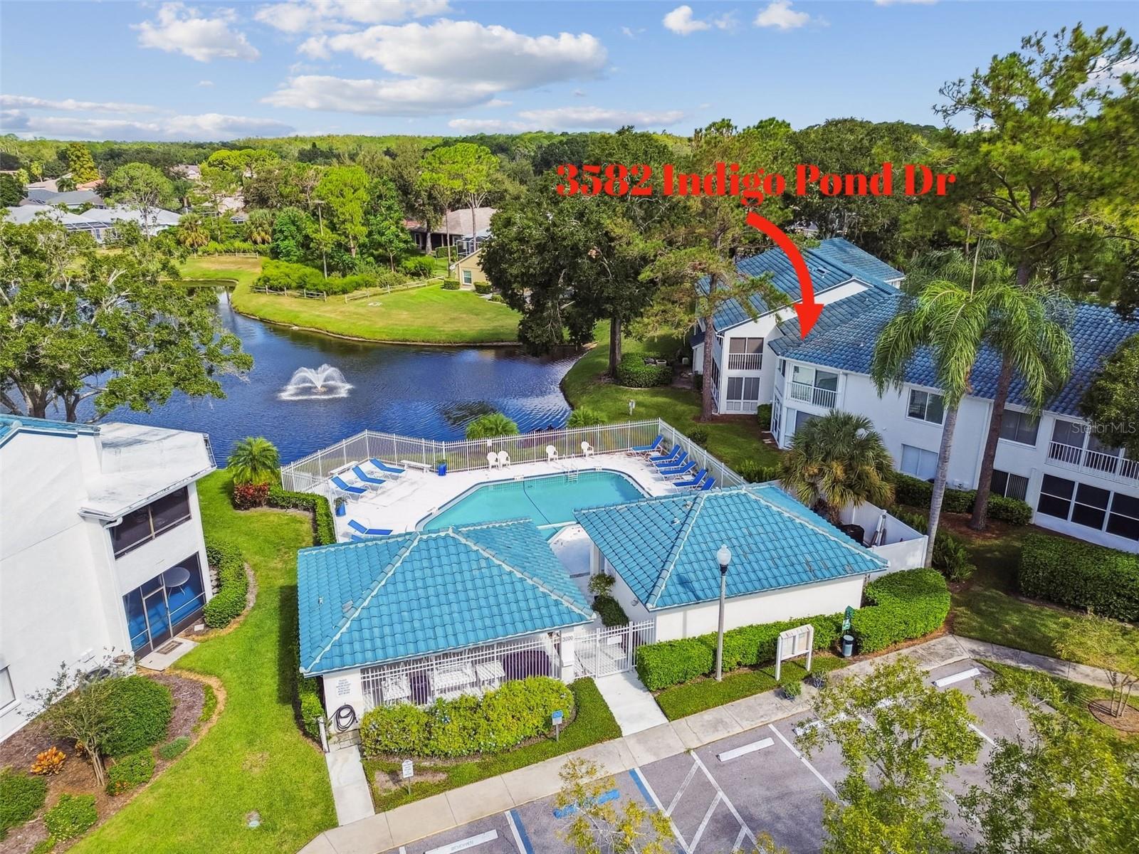 3582 INDIGO POND DR #3582, PALM HARBOR, FL, 34685