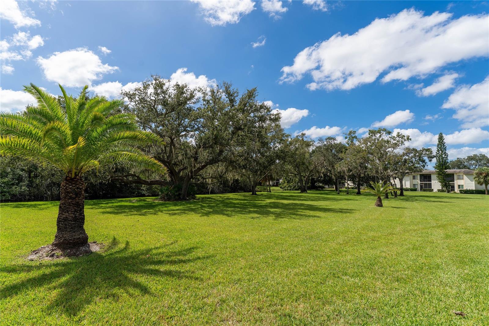 281 CYPRESS LN #281, OLDSMAR, FL, 34677