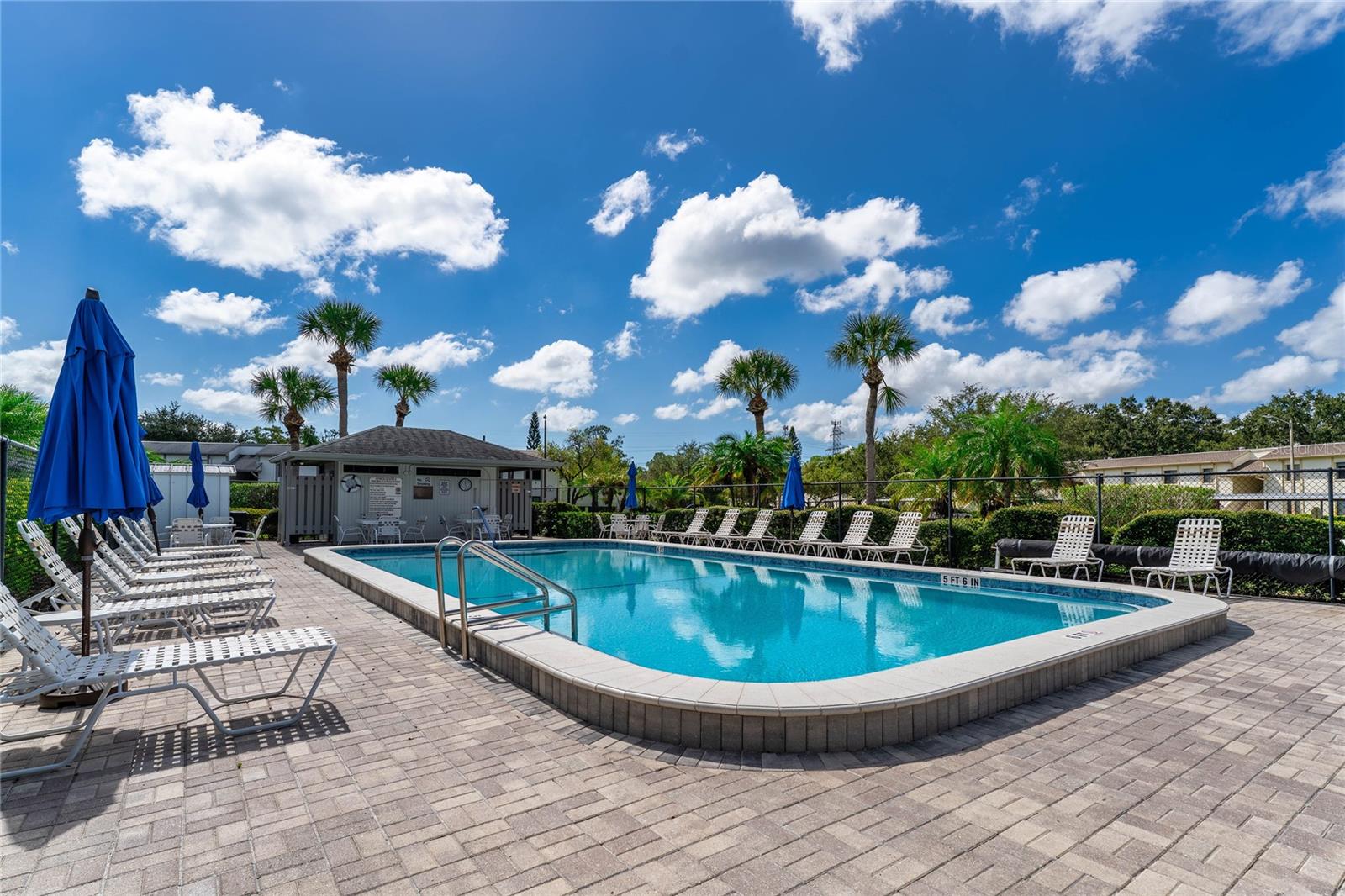 281 CYPRESS LN #281, OLDSMAR, FL, 34677