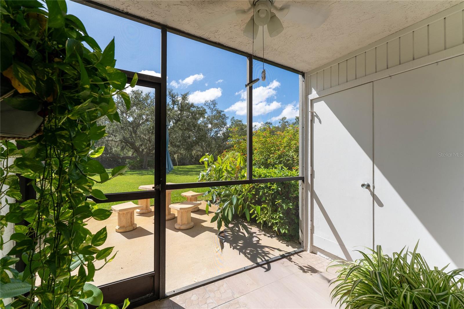 281 CYPRESS LN #281, OLDSMAR, FL, 34677