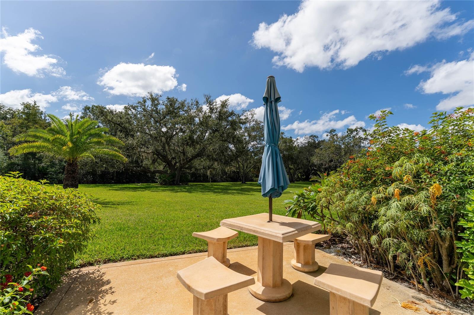 281 CYPRESS LN #281, OLDSMAR, FL, 34677