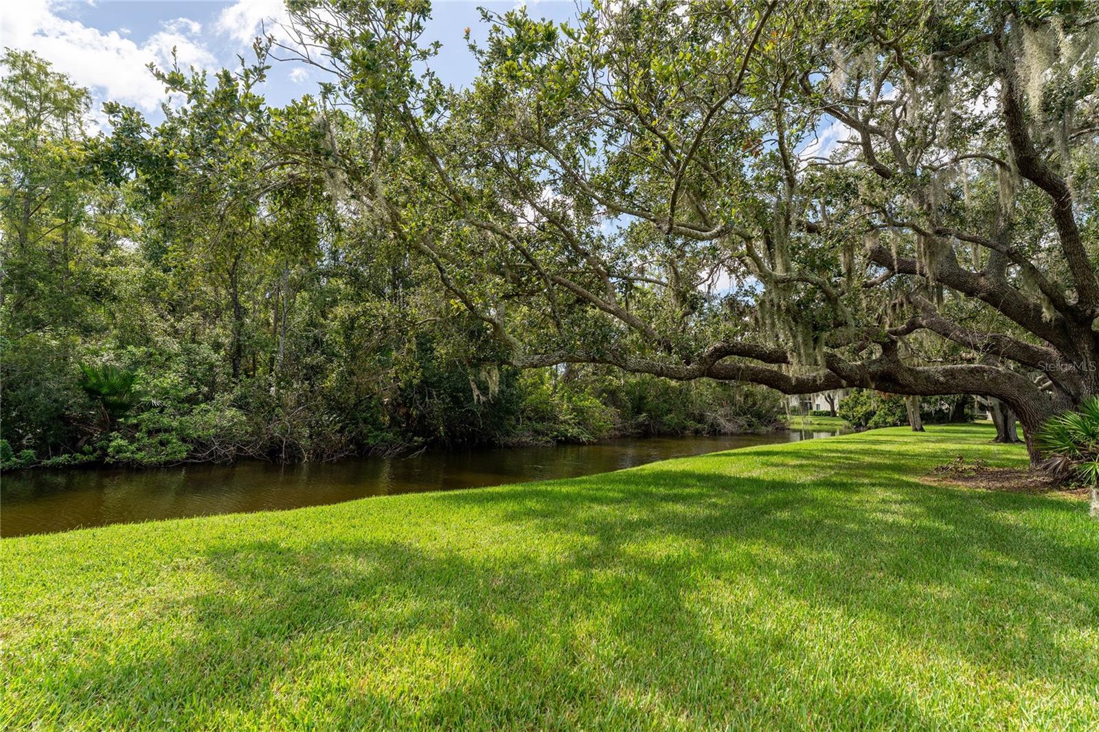 281 CYPRESS LN #281, OLDSMAR, FL, 34677