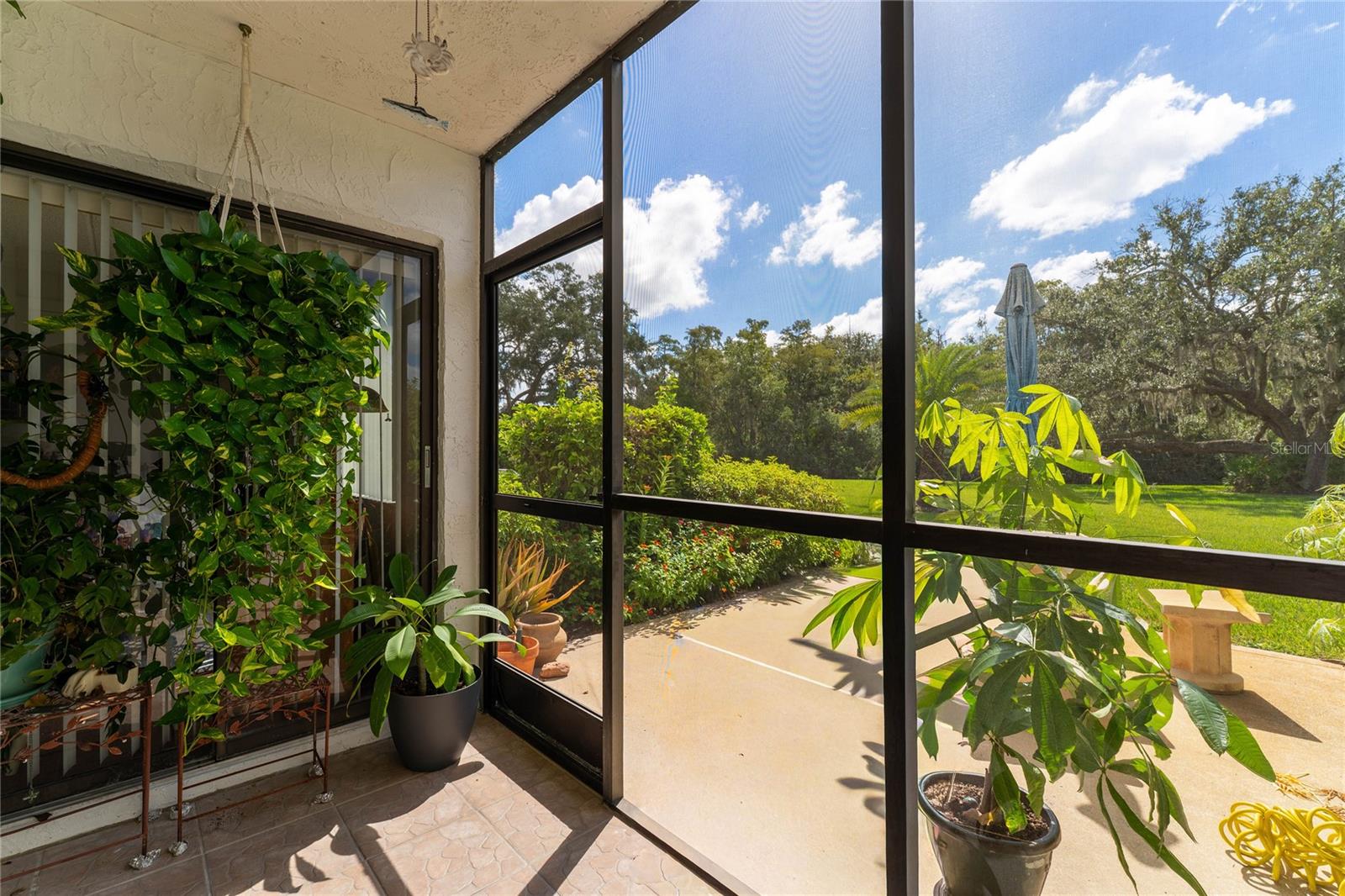 281 CYPRESS LN #281, OLDSMAR, FL, 34677