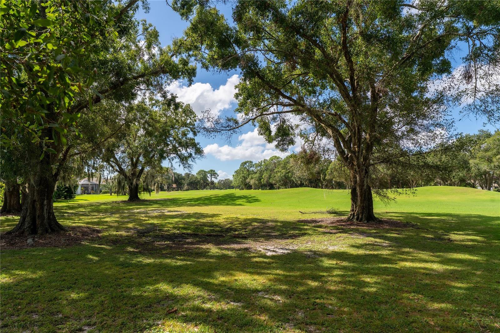 281 CYPRESS LN #281, OLDSMAR, FL, 34677