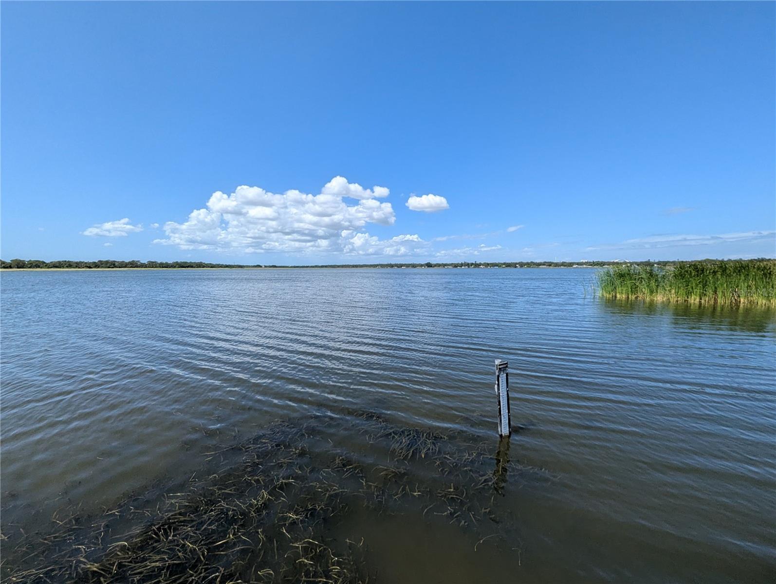 3834 DR MARTIN LUTHER KING JR ST S, ST PETERSBURG, FL, 33705