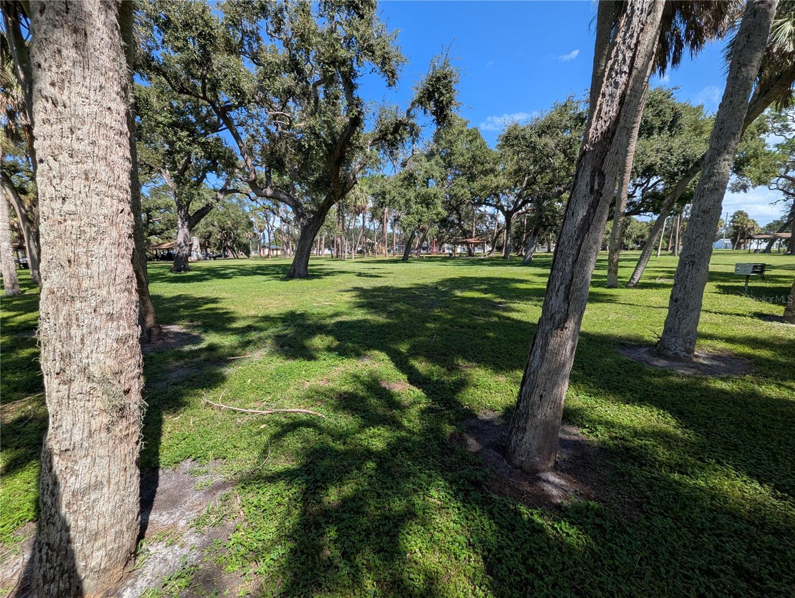 3834 DR MARTIN LUTHER KING JR ST S, ST PETERSBURG, FL, 33705