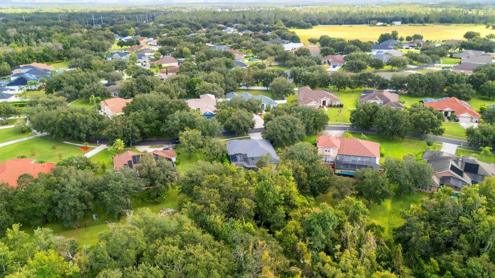 12251 CREEK EDGE DR, RIVERVIEW, FL, 33579