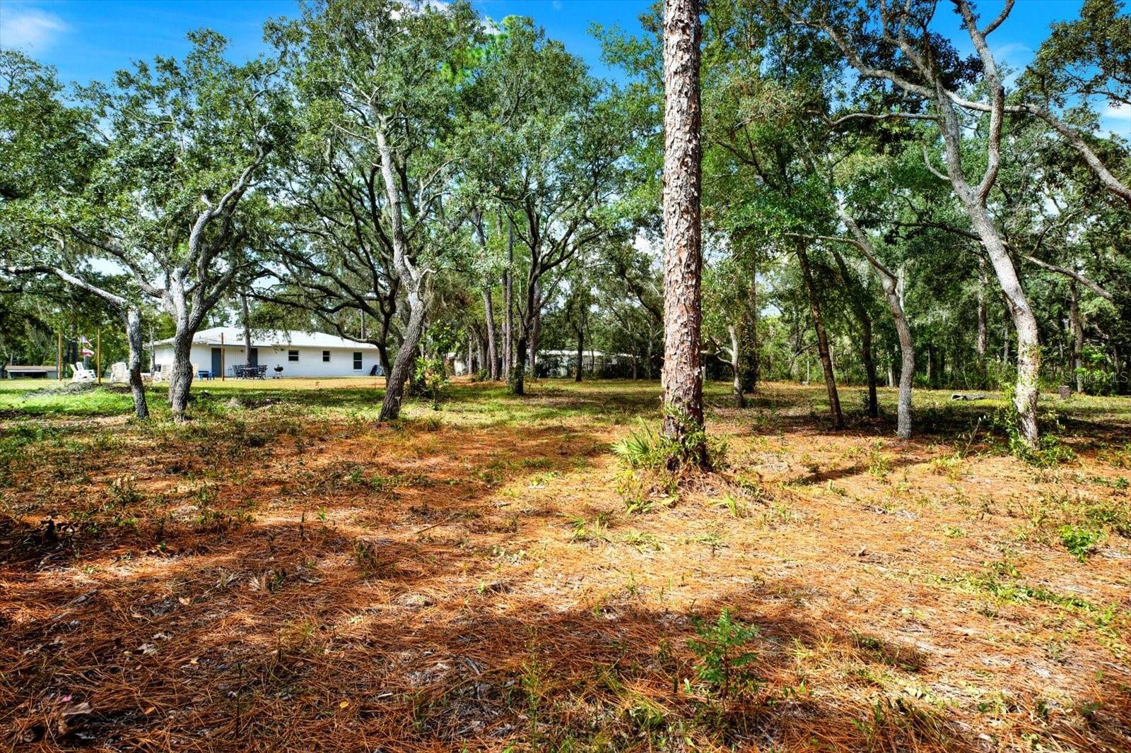 2133 S COLONIAL AVE, HOMOSASSA, FL, 34448