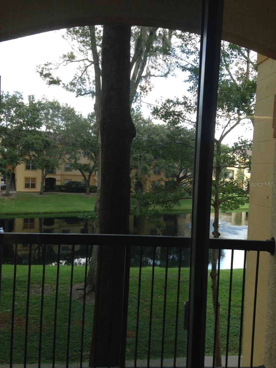 5608 PINNACLE HEIGHTS CIR #208, TAMPA, FL, 33624