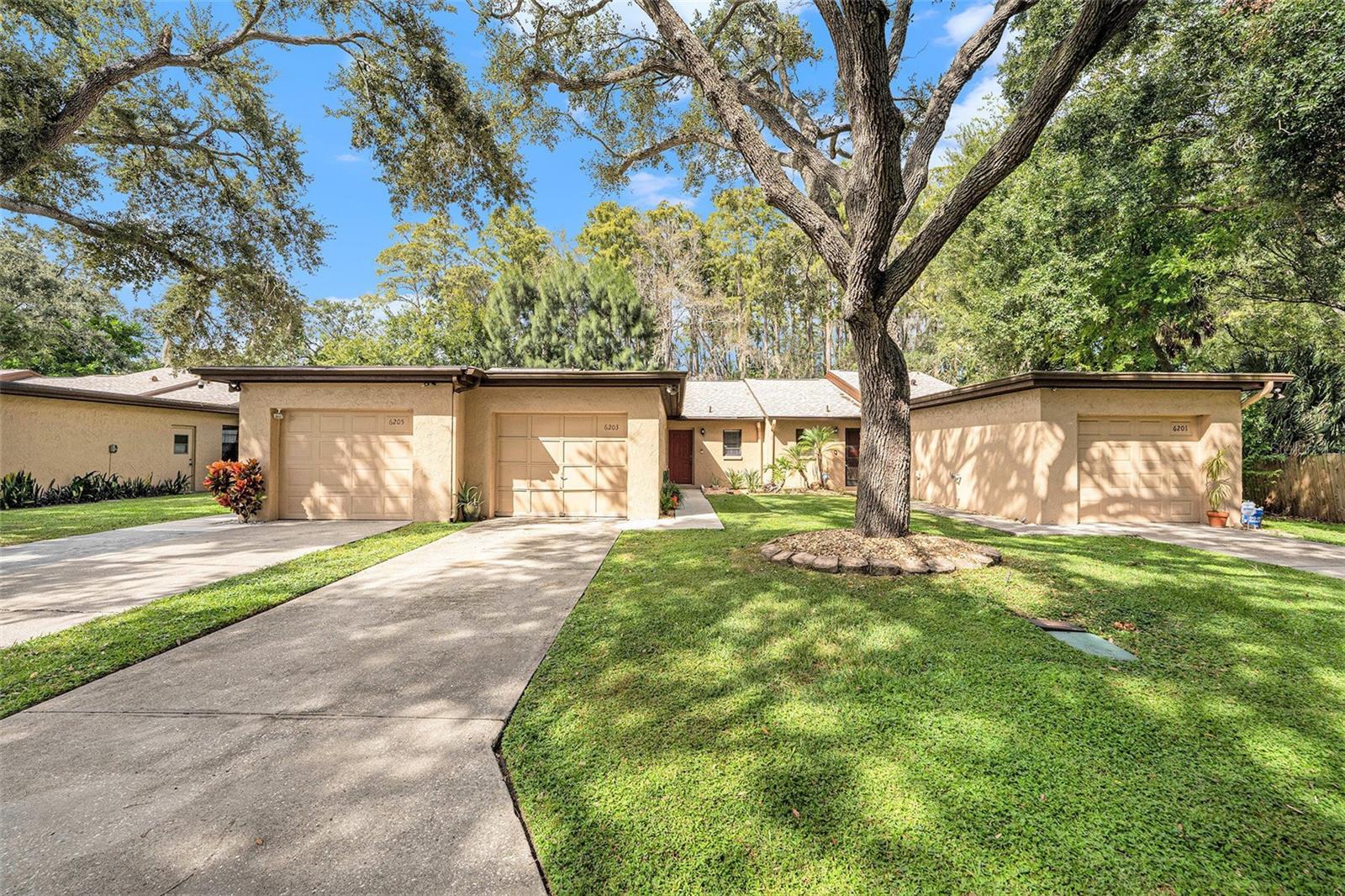 6203 AMARETTO LN #6205, TAMPA, FL, 33634