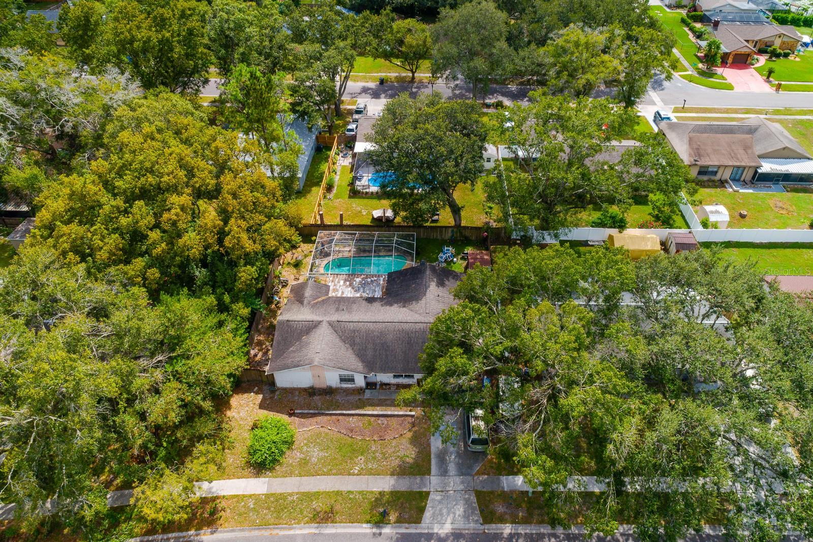 17645 MEADOWBRIDGE DR, LUTZ, FL, 33549