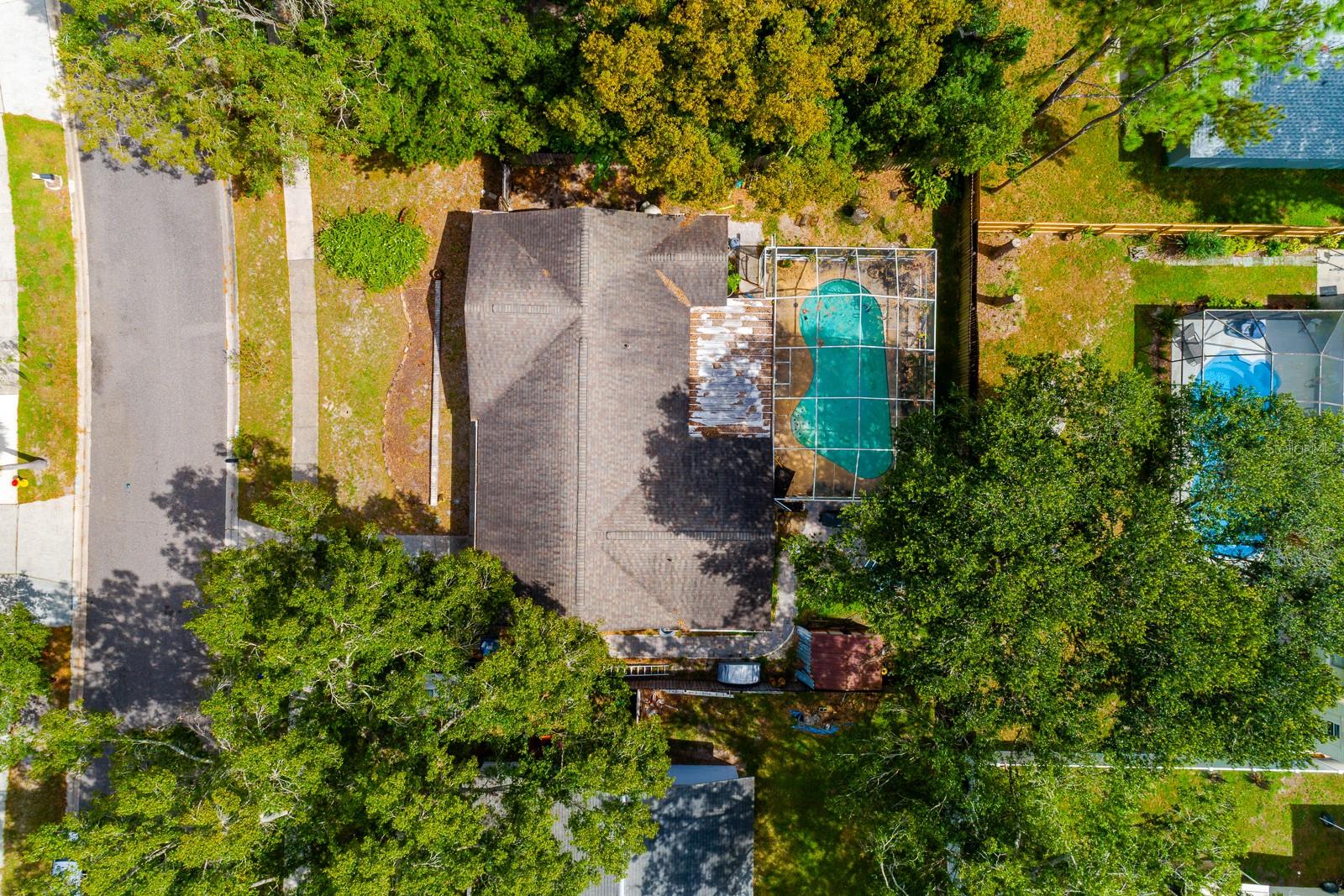 17645 MEADOWBRIDGE DR, LUTZ, FL, 33549