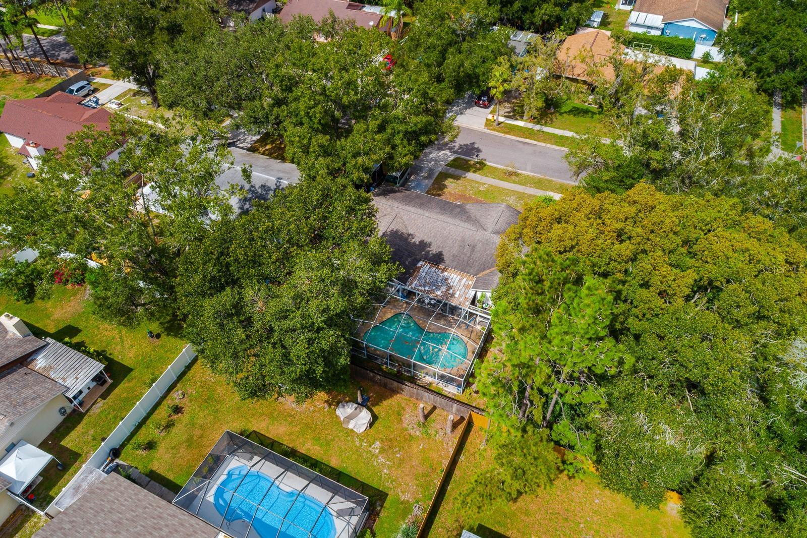 17645 MEADOWBRIDGE DR, LUTZ, FL, 33549