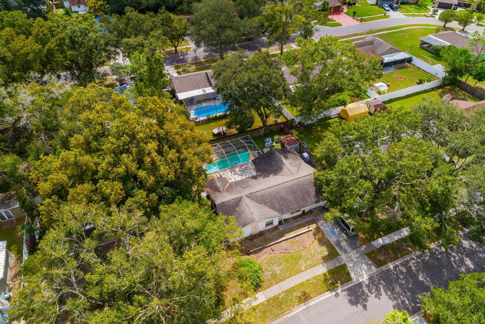 17645 MEADOWBRIDGE DR, LUTZ, FL, 33549