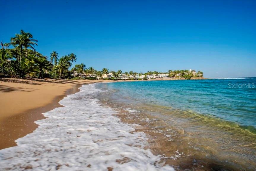 PR9116561 Property Photo