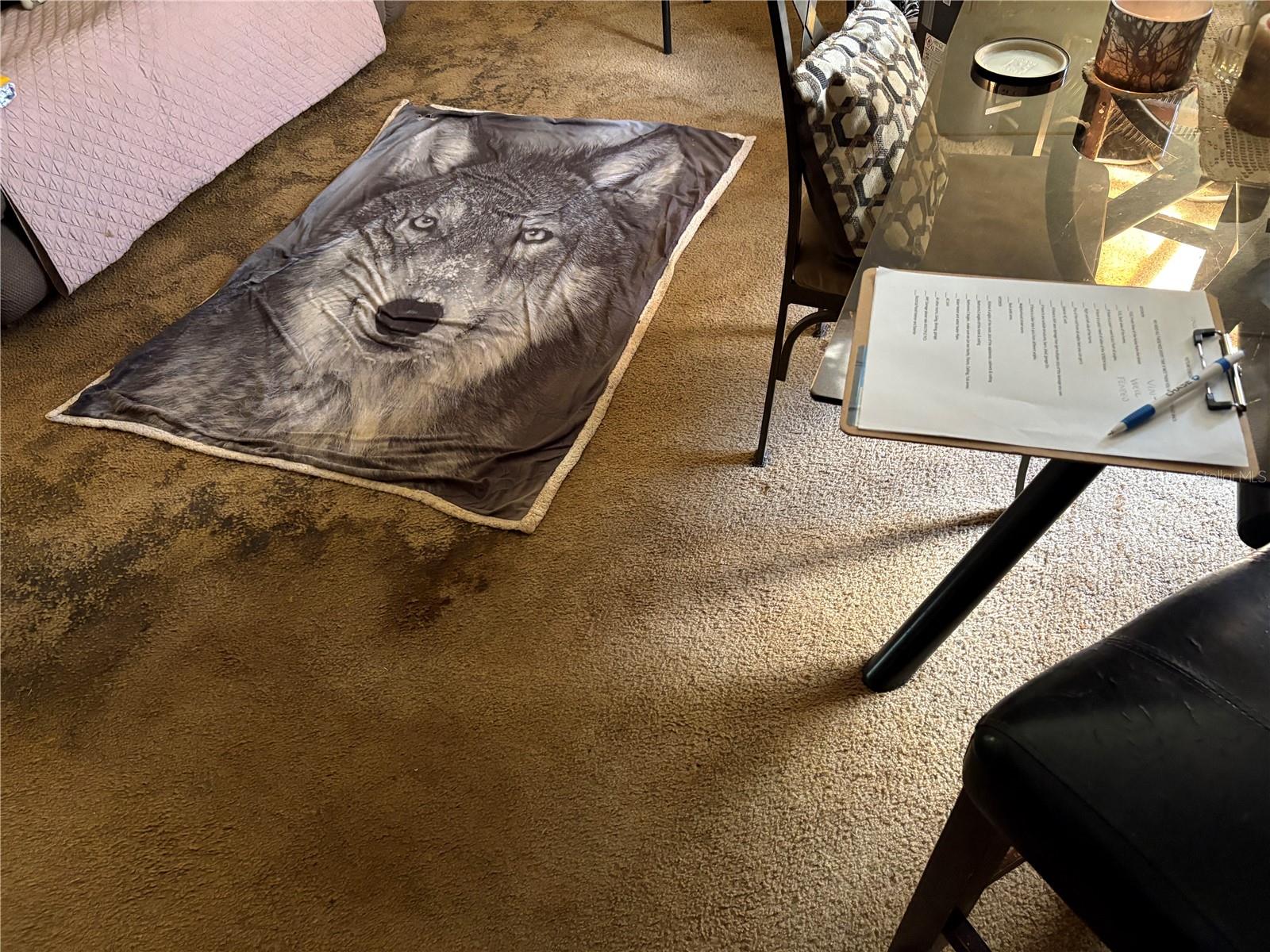 TB8435688 Property Photo