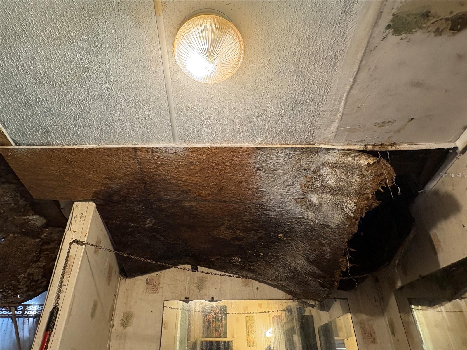 TB8435688 Property Photo