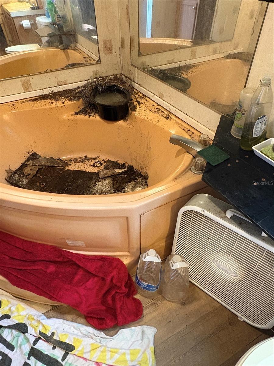 TB8435688 Property Photo