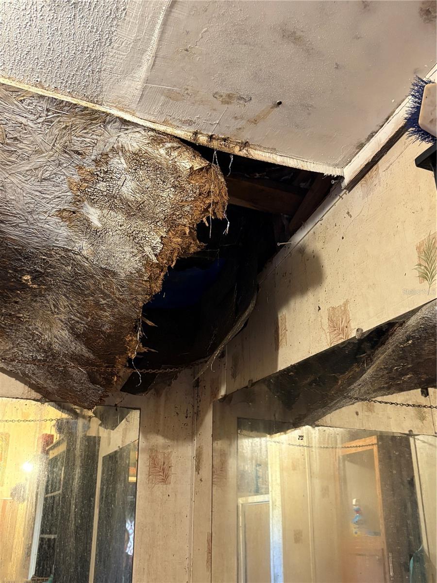 TB8435688 Property Photo