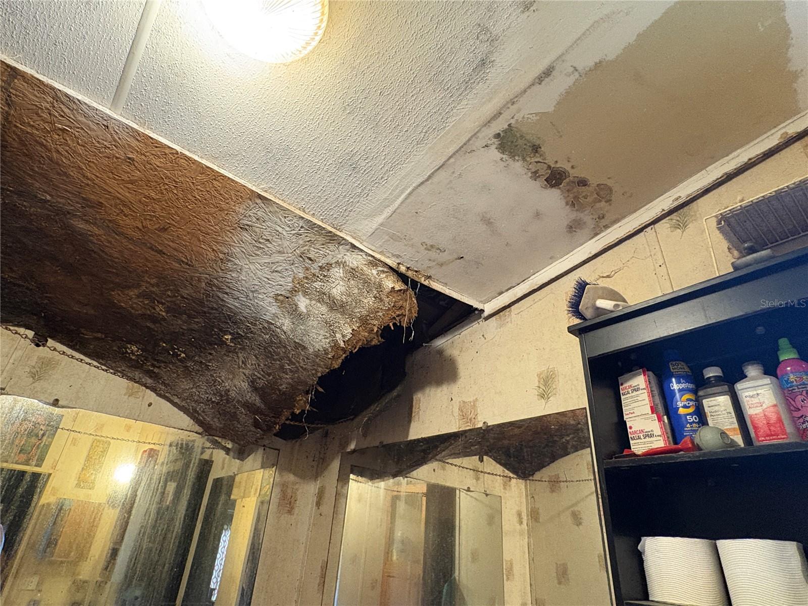 TB8435688 Property Photo