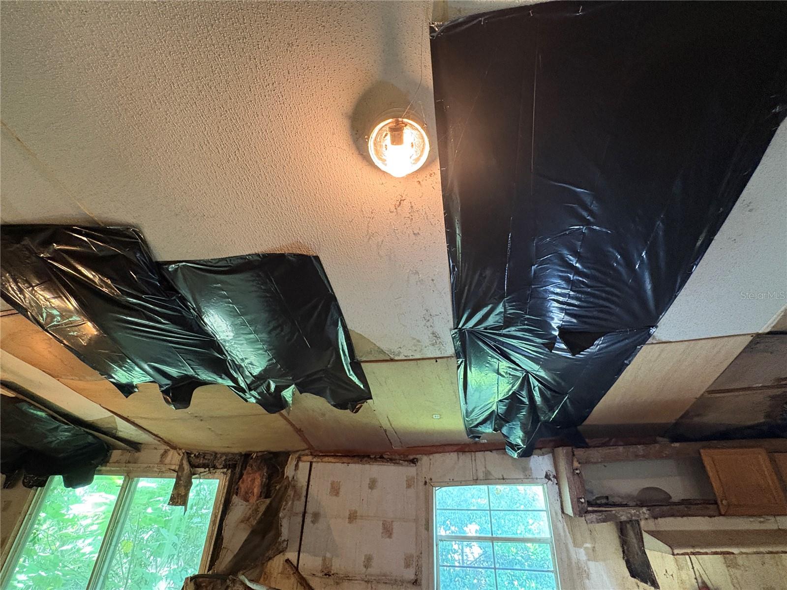 TB8435688 Property Photo