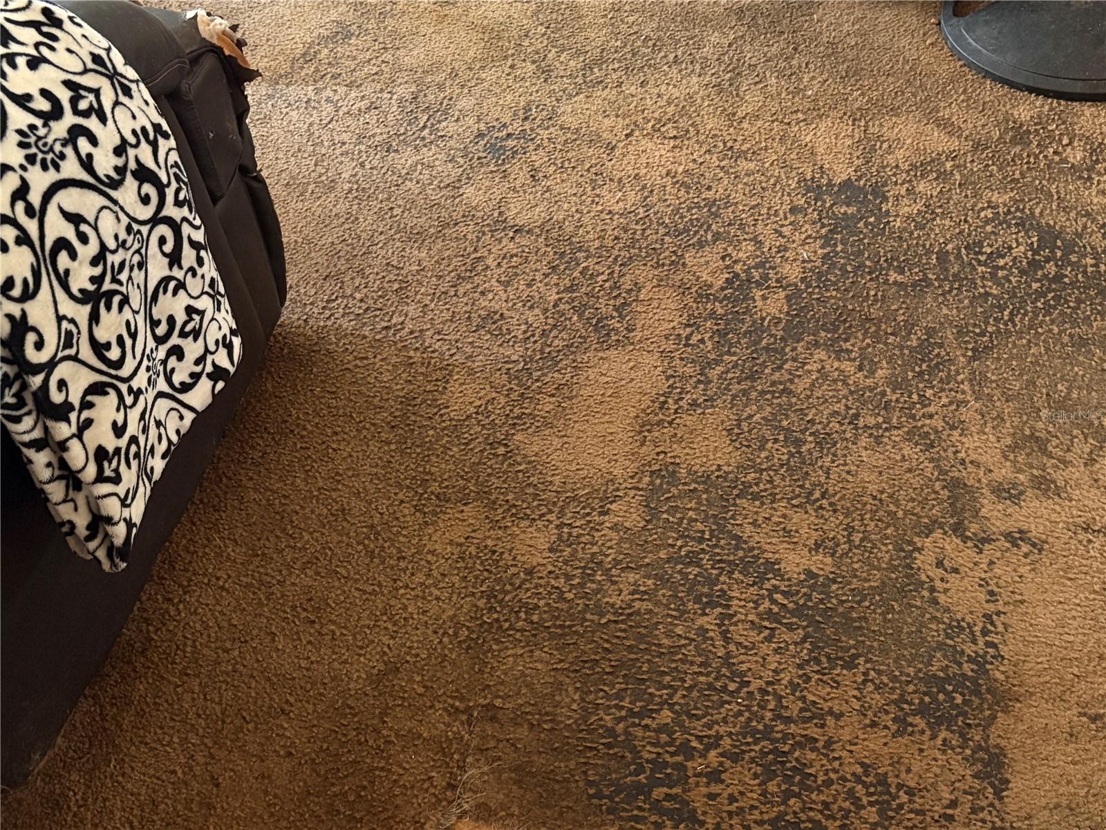 TB8435688 Property Photo