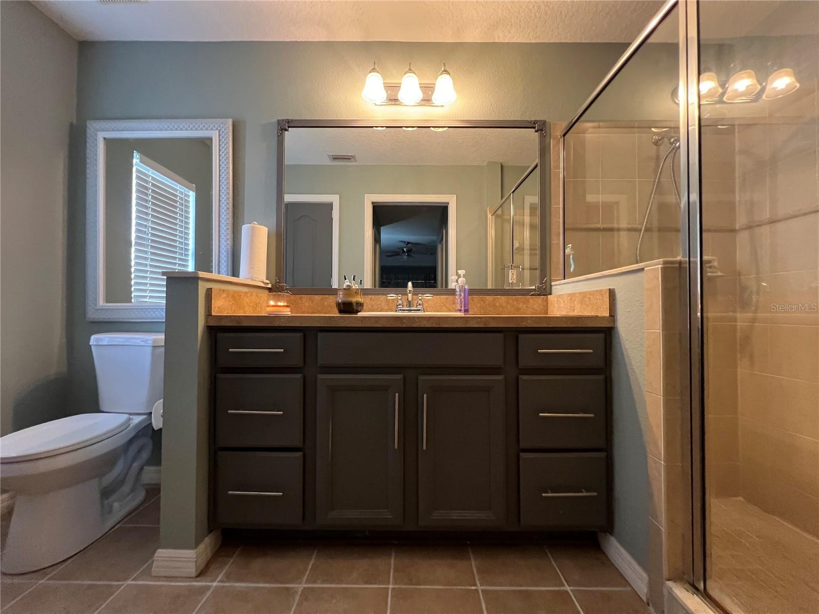 1022 CR 463B, LAKE PANASOFFKEE, FL, 33538