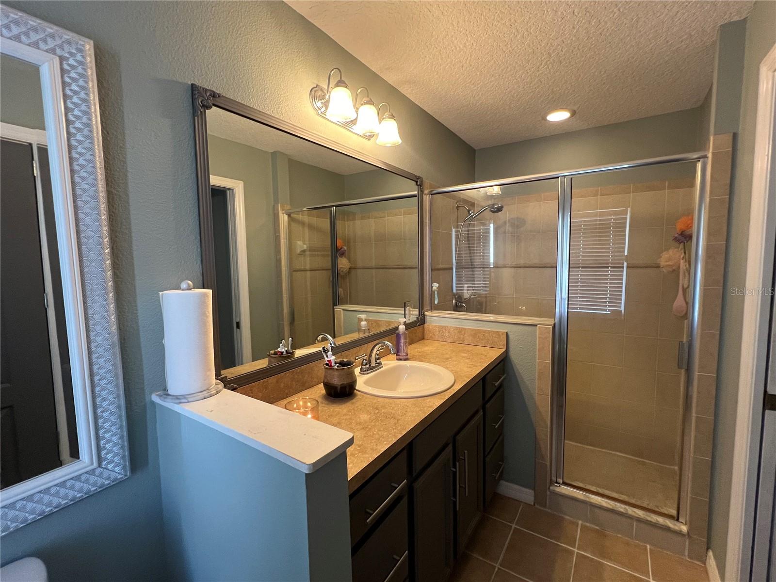 1022 CR 463B, LAKE PANASOFFKEE, FL, 33538