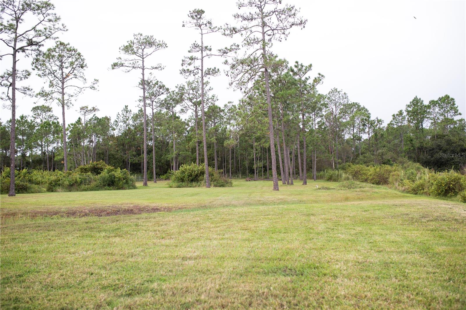 320 RODEO RD, ORMOND BEACH, FL, 32174