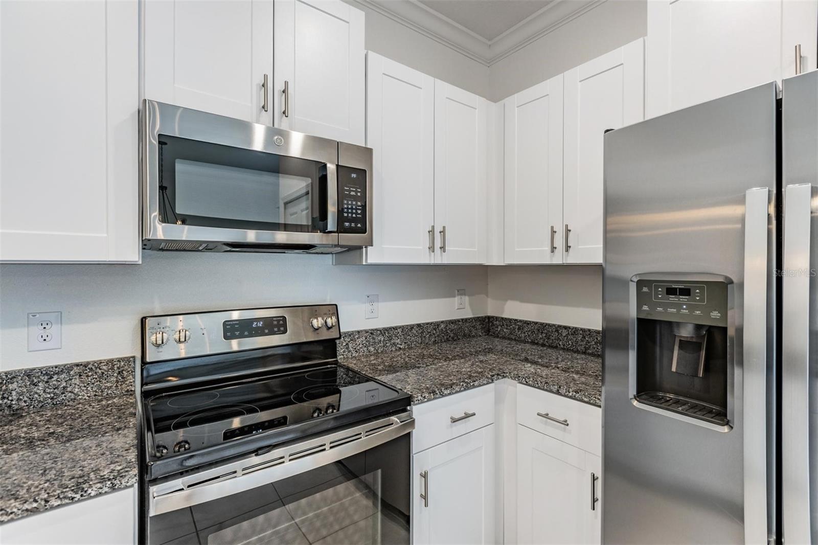 17482 NECTAR FLUME DR, LAND O LAKES, FL, 34638