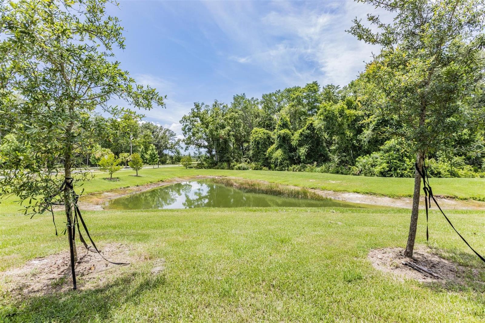 17482 NECTAR FLUME DR, LAND O LAKES, FL, 34638