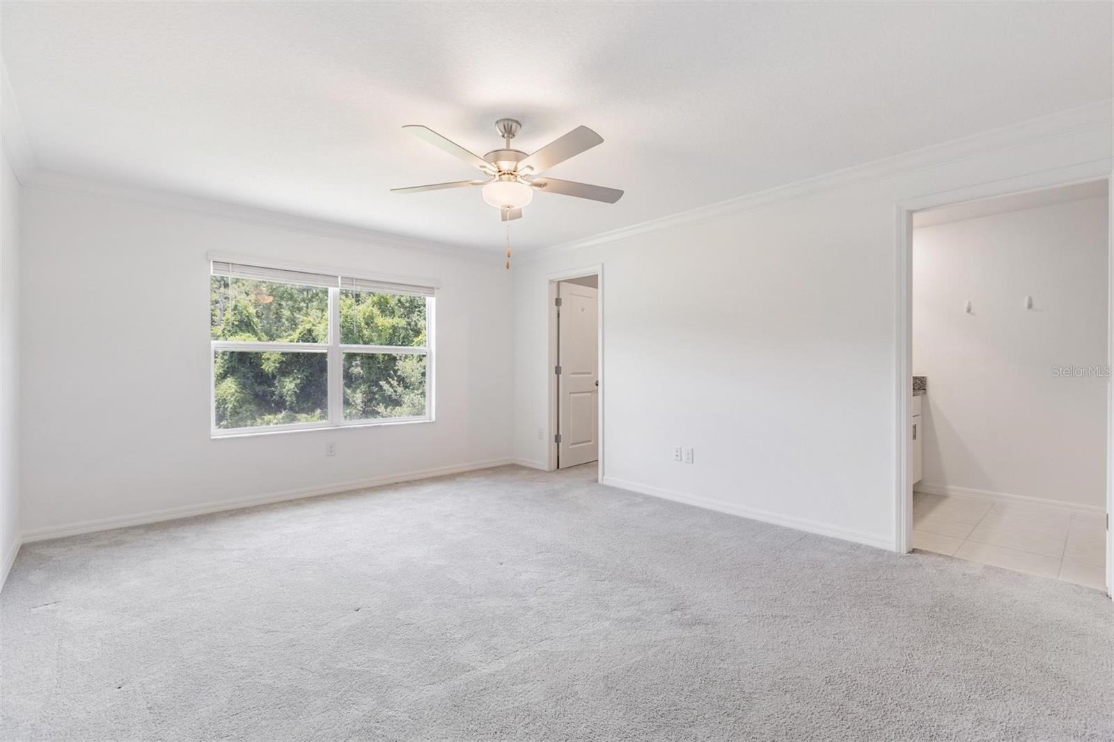 17482 NECTAR FLUME DR, LAND O LAKES, FL, 34638