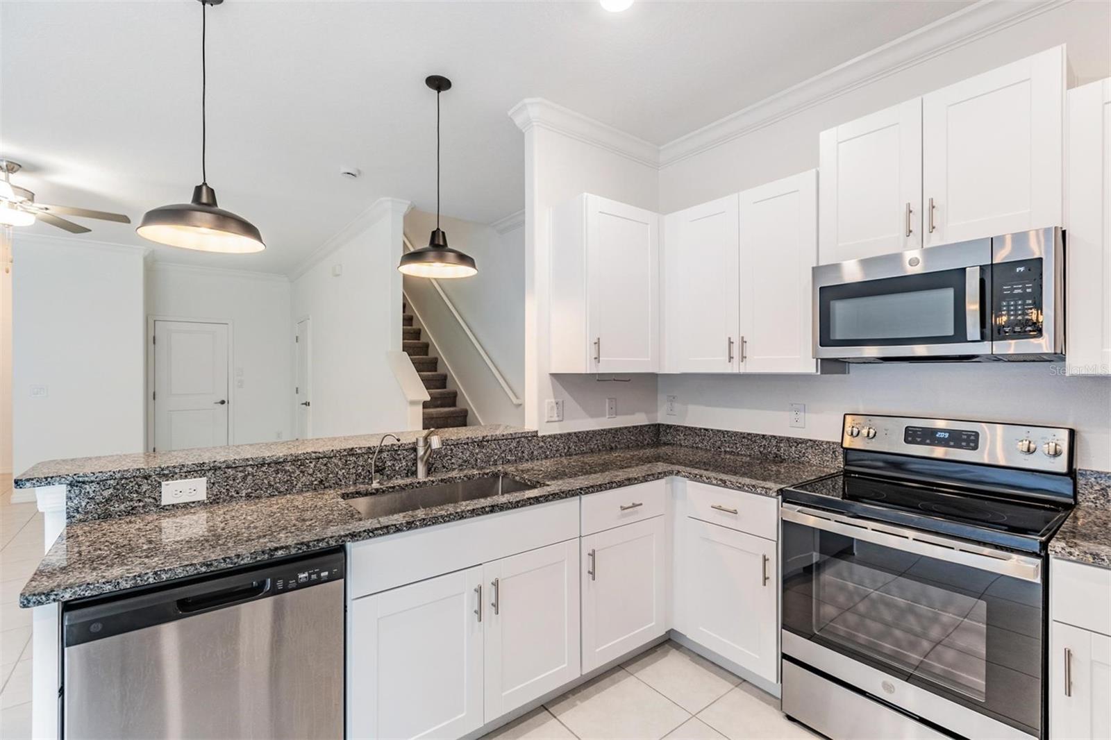 17482 NECTAR FLUME DR, LAND O LAKES, FL, 34638