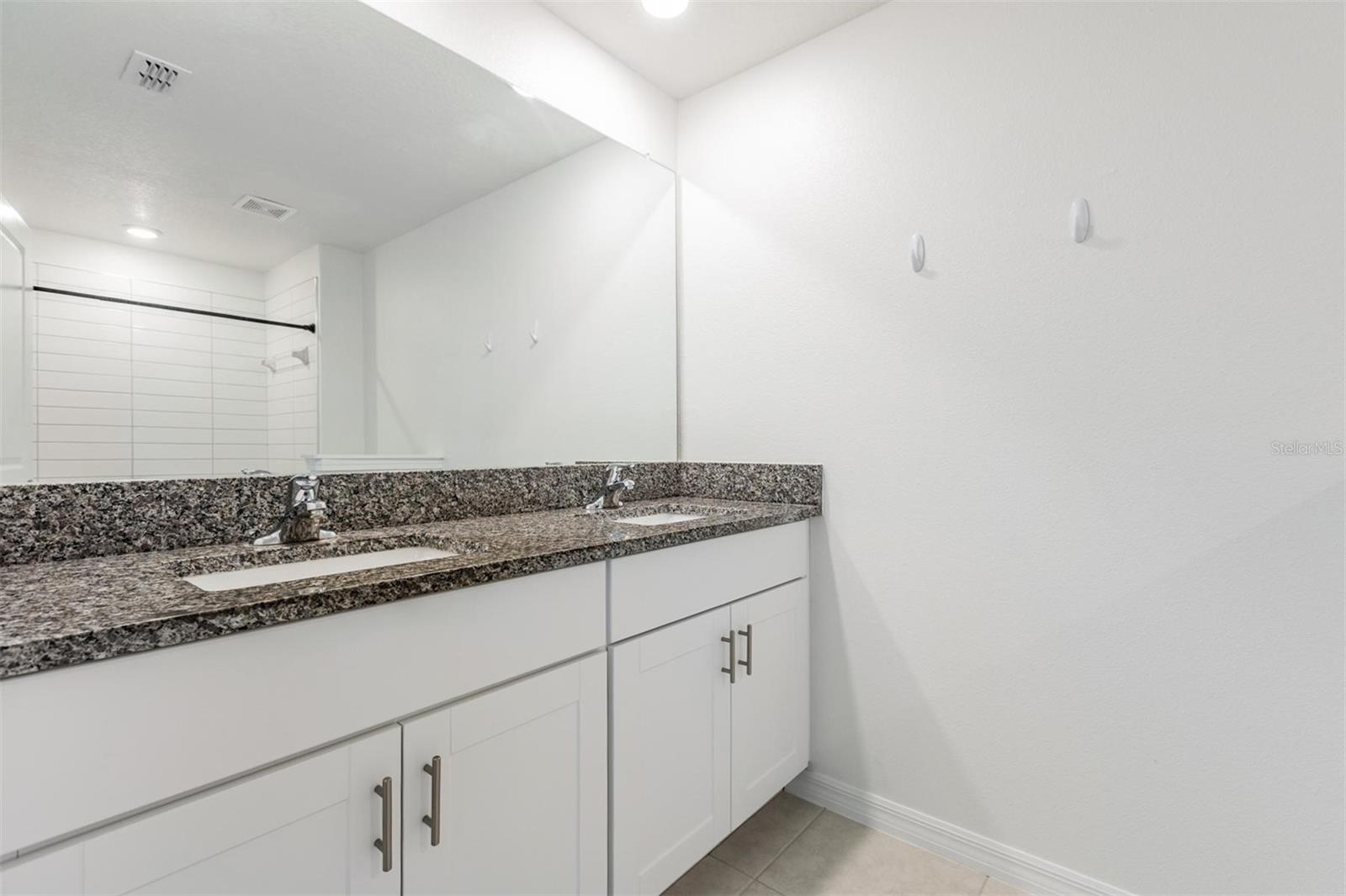 17482 NECTAR FLUME DR, LAND O LAKES, FL, 34638