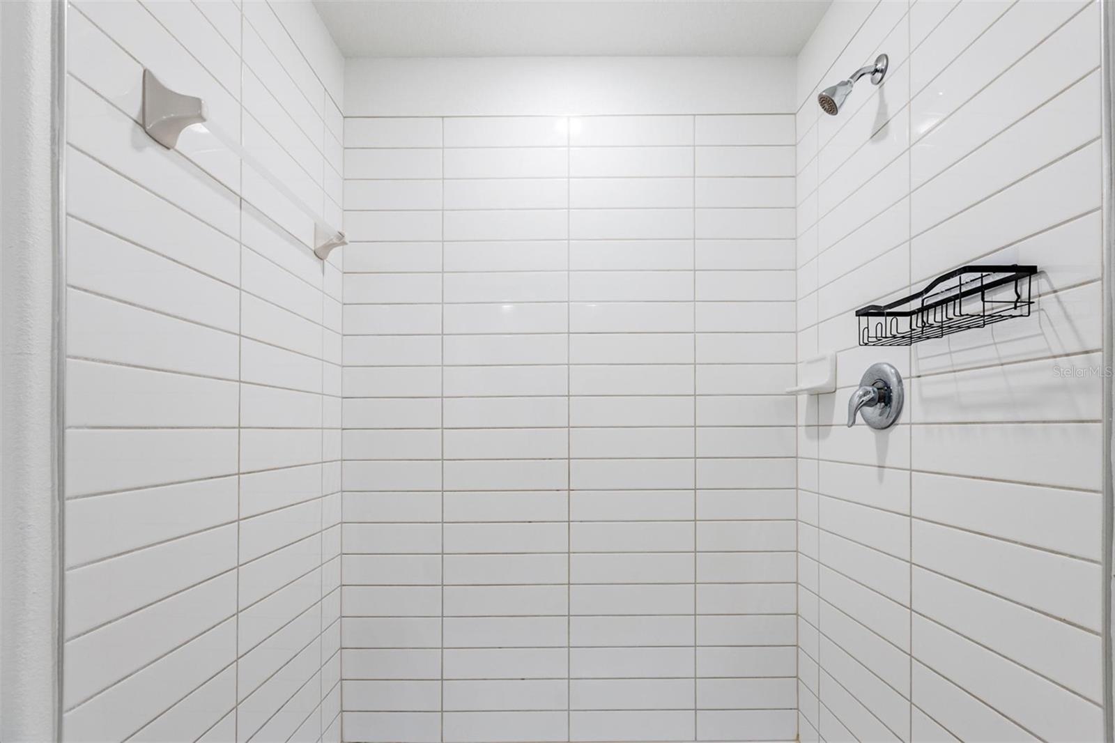 17482 NECTAR FLUME DR, LAND O LAKES, FL, 34638